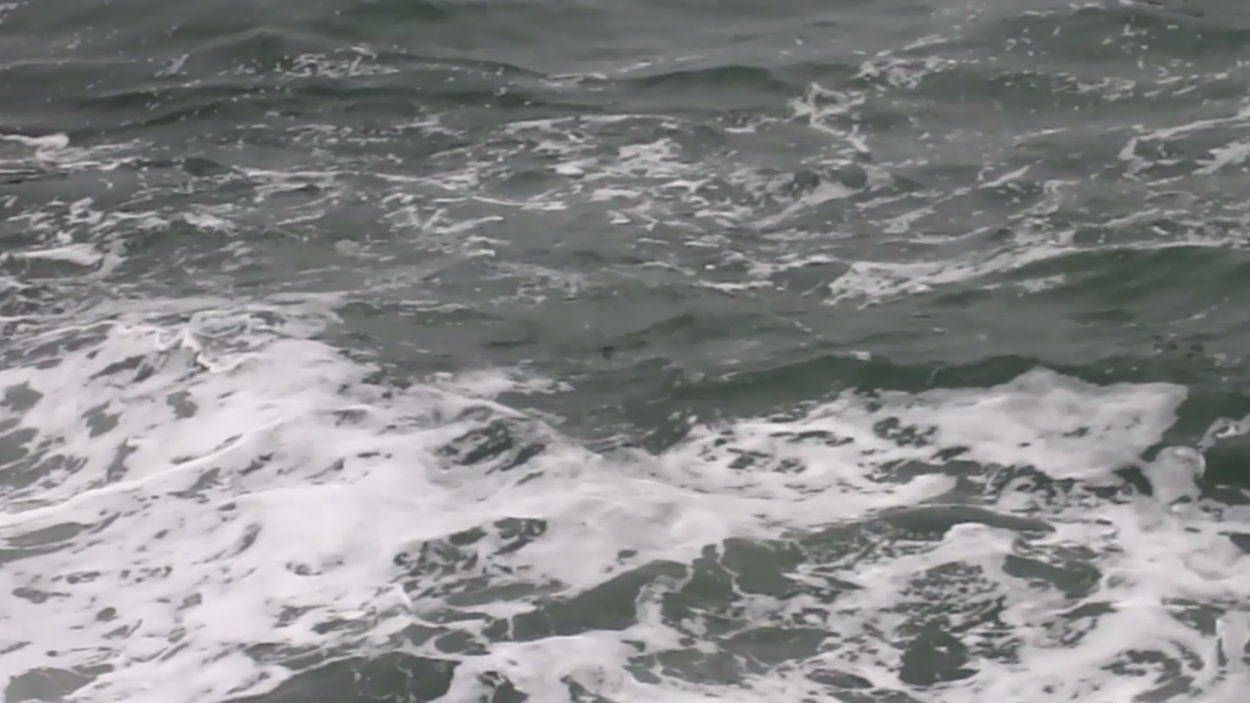 fieldrecording videomix 001